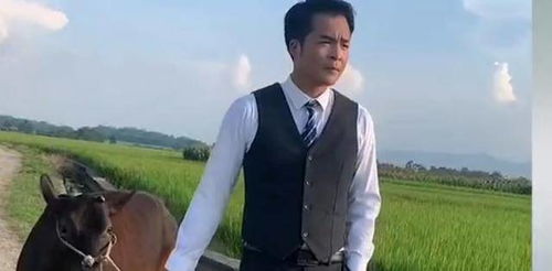 乔峰怎么开上拖拉机了？从抖音爆款视频看内容创作的奥秘