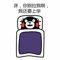 藏在日常里的小确幸：从点滴中感受生活的美好