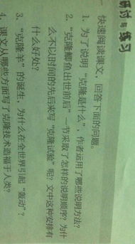 忘带语文书的那天，我学会了更重要的东西