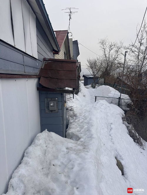 3.5万在日本北海道买170平房？实探背后真相