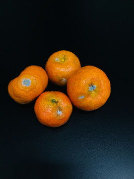 发霉橘子标价500元，谁在买单？背后的故事让人深思