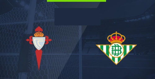 平常心与朱佳俊的百分大战：一场智力与心理的巅峰对决