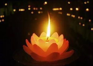 阅读如明灯，照亮前路——他的成长故事