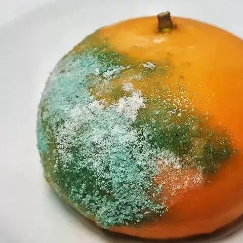 发霉橘子竟卖到599元？真相背后竟是这样的套路