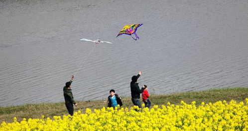 春天来了，为何越来越多人却“遭殃”了？
