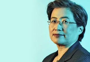 从司马南偷税事件看社会公平与企业责任