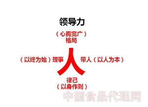 领导力法则（四）：从小陈的故事看真正的团队协作与成长
