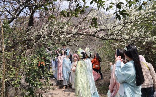 相约湖北赏樱花：一场春日浪漫之旅