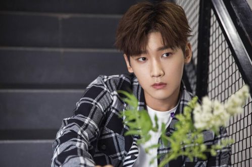 演员王凯喜提新身份：从荧屏到公益，他用行动诠释责任与担当