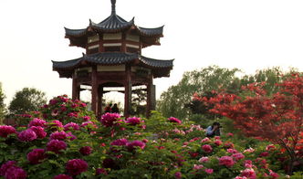 徜徉长江观音景区：领略自然与人文的双重魅力