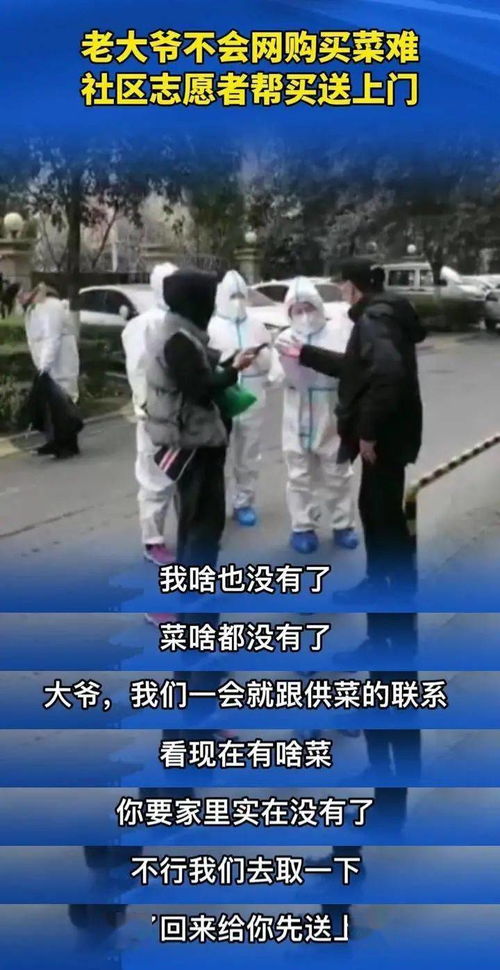 自愿被群像骗了一年又一年：从我到我们，警惕那些隐藏在屏幕后的骗局