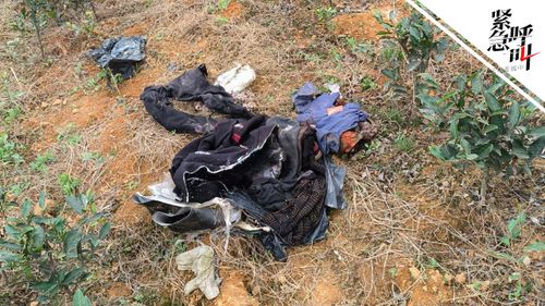 男子因冲突持锄头致2死被判死缓，检方抗诉背后的故事