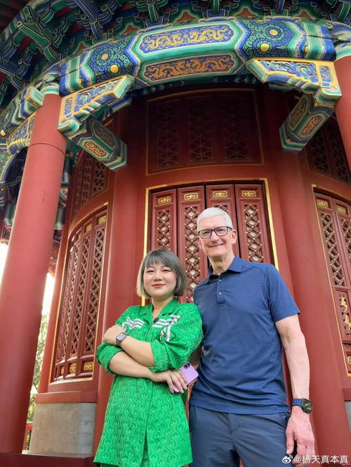 库克和杨天真一起爬景山公园：一次跨界的奇妙相遇