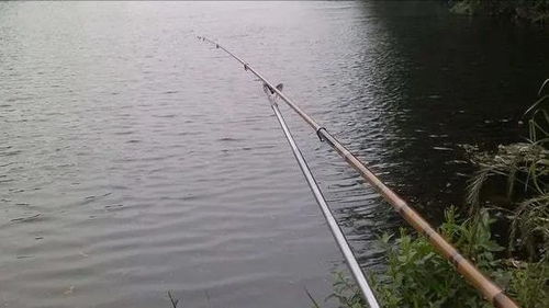 男子水库边钓鱼被鱼拉下水溺亡：一场本可避免的悲剧