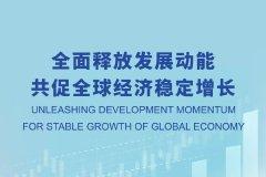 亲历2025中国发展高层论坛：与全球顶尖外方代表面对面