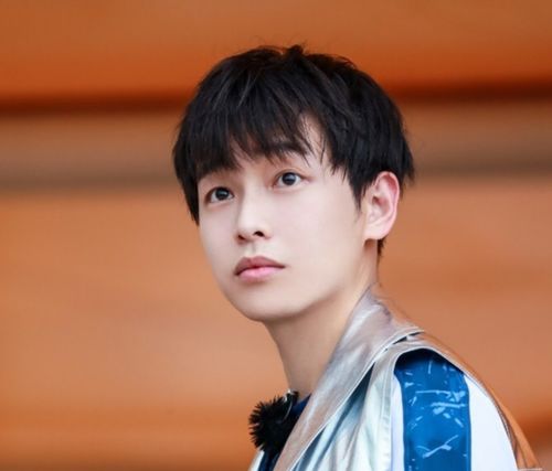 与张子枫共许100个养宠人心愿：从电影到现实的温暖旅程