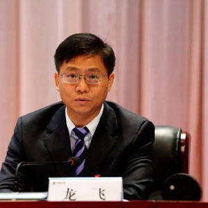 深度解析：南方电网原纪检监察组组长龙飞受审始末