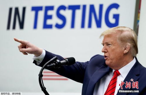 特朗普与普京通话后，俄乌局势或将迎来全面停火？