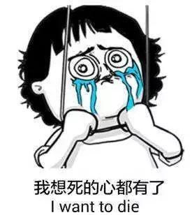 热热热你冷冷冷：一场温度的奇妙旅程