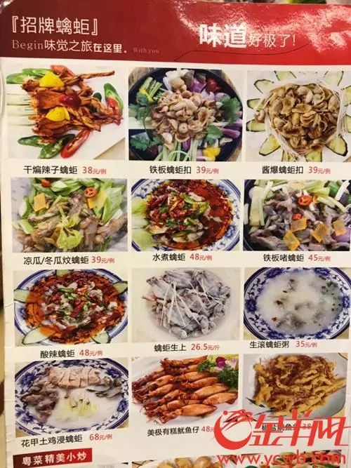 广东男子因食用蟾蜍中毒身亡，这些隐藏的“毒物”你可能也在吃！