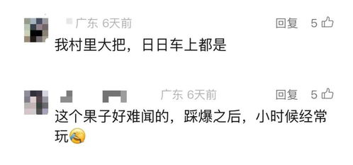 100秒奔赴一场繁花盛开的春日盛宴