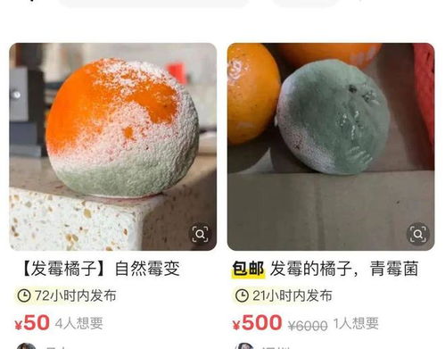 发霉橘子在二手平台热售背后：小刘的奇妙经历与专家提醒