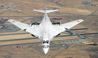 目击者亲述：俄战略轰炸机基地上空的“蘑菇云”真相