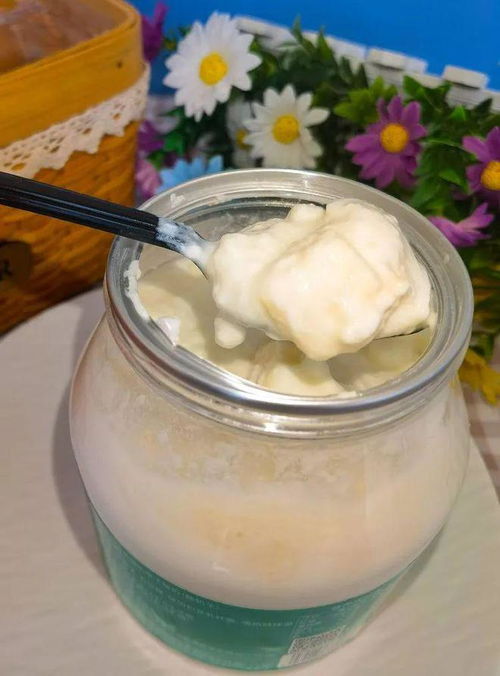 奶皮子酸奶：从爆款到现象级的崛起之路