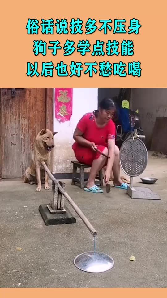 技多不压身：从零开始的技能积累之路