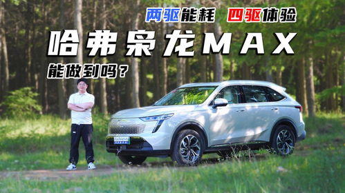 两驱能耗四驱体验：新能源车的性价比之选