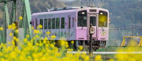 开往春天的列车出发了：一场浪漫与自然的邂逅
