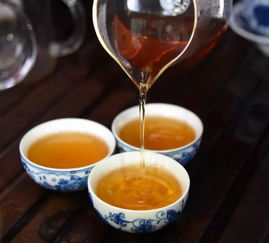烹煮时光：柴米油盐酱醋茶里的百态人生