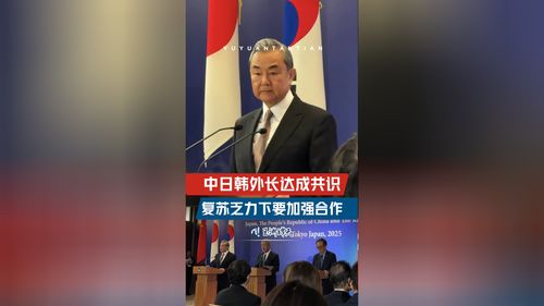 中日韩三国外长达成共识：合作新篇章的开启