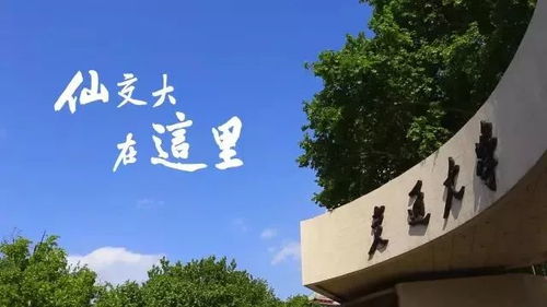 大学生活的核心：什么才是最重要的？