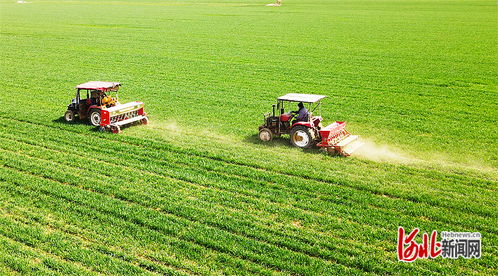 春耕时节，我与沃野的“耕”新故事