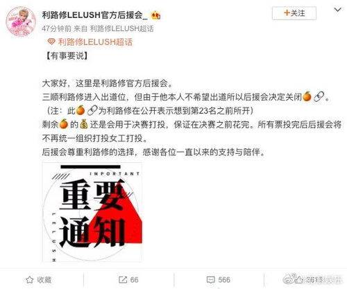 《别爱我，没结果》写作复盘：从心出发，用文字治愈灵魂