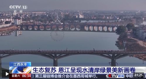 水清岸绿 家门口就有“诗和远方”