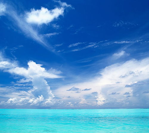 退一步，海阔天空：人生的智慧与格局