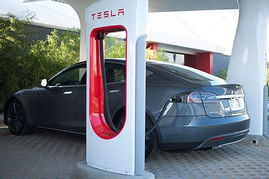 特斯拉充电桩落户上海油菜花田引热议 园区回应：正在迁移