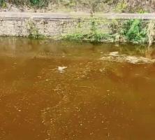 湖南河流铊浓度异常：一场环保与生命的较量