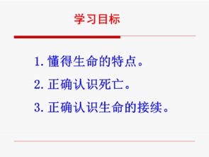 擦亮生命：在迷茫中找到前行的光
