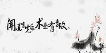 术业有专攻：找到自己的舞台，成为行业状元