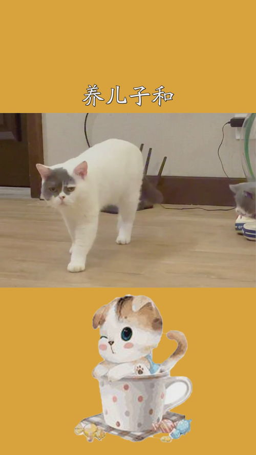 望崽：一个父亲的深情守候