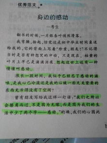 带着感动前行：那些触动心灵的瞬间