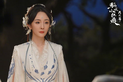 冯小刚+赵丽颖与张艺谋+刘浩存：王炸组合能否成就“三高”影视剧？