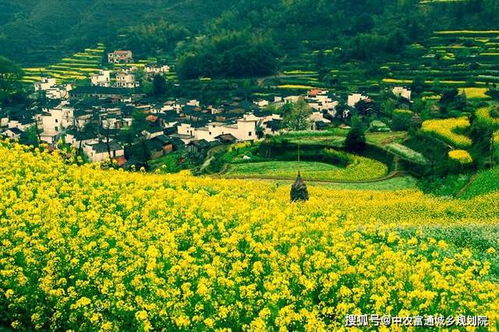 在上饶看见另一个春天：一场与自然的邂逅