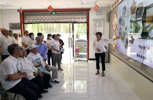 解锁乡村振兴的“红色密码”：党建引领下的基层治理新篇章