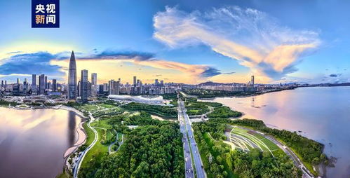 黄梅之浪，潮涌四方：一个诗人的自我追寻