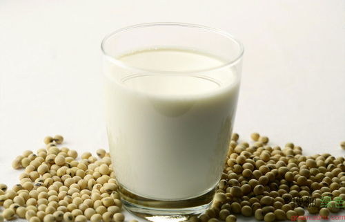 牛奶与豆浆：一场味蕾与心灵的抉择