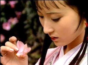 一年三百六十日，风刀霜剑严相逼：我的生活感悟与成长